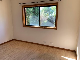 View profile: 3 bedroom modern family home located in a leafy suburb.  Water included in rent!