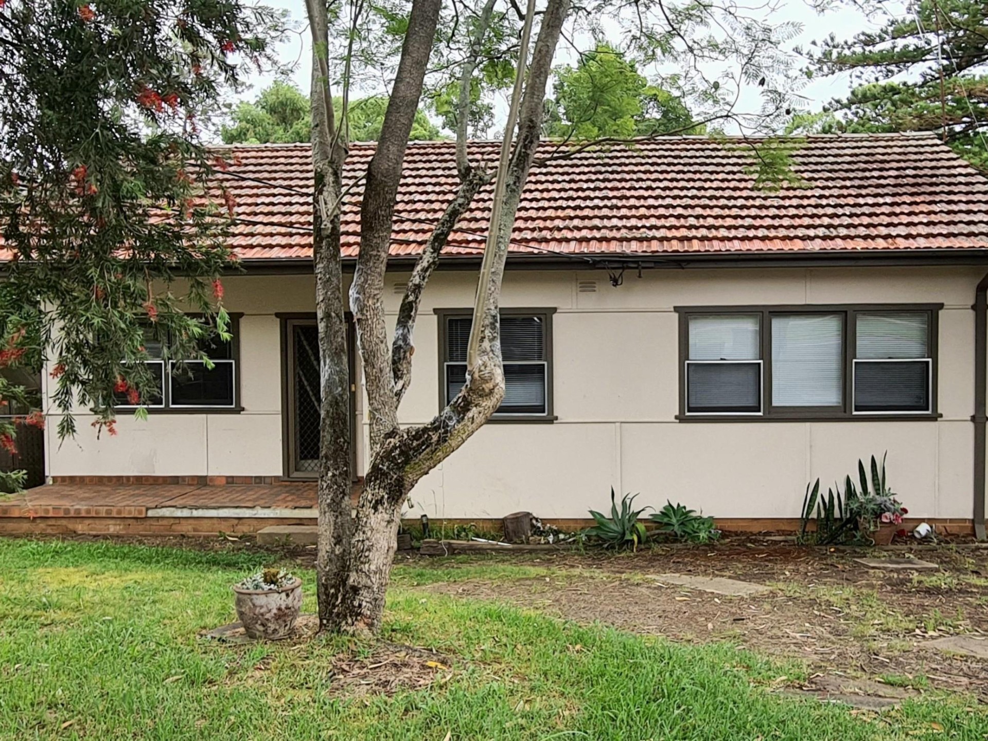 Large family home with lawns maintained by owner!