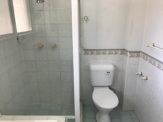 View profile: CONVENIENCE PLUS !!