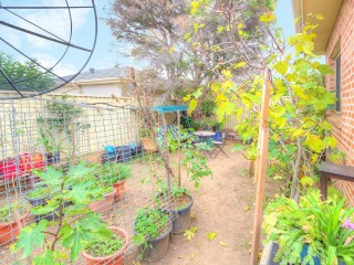 View profile: Quality 3 Bedrooms! Two bathrooms! Double Garage!