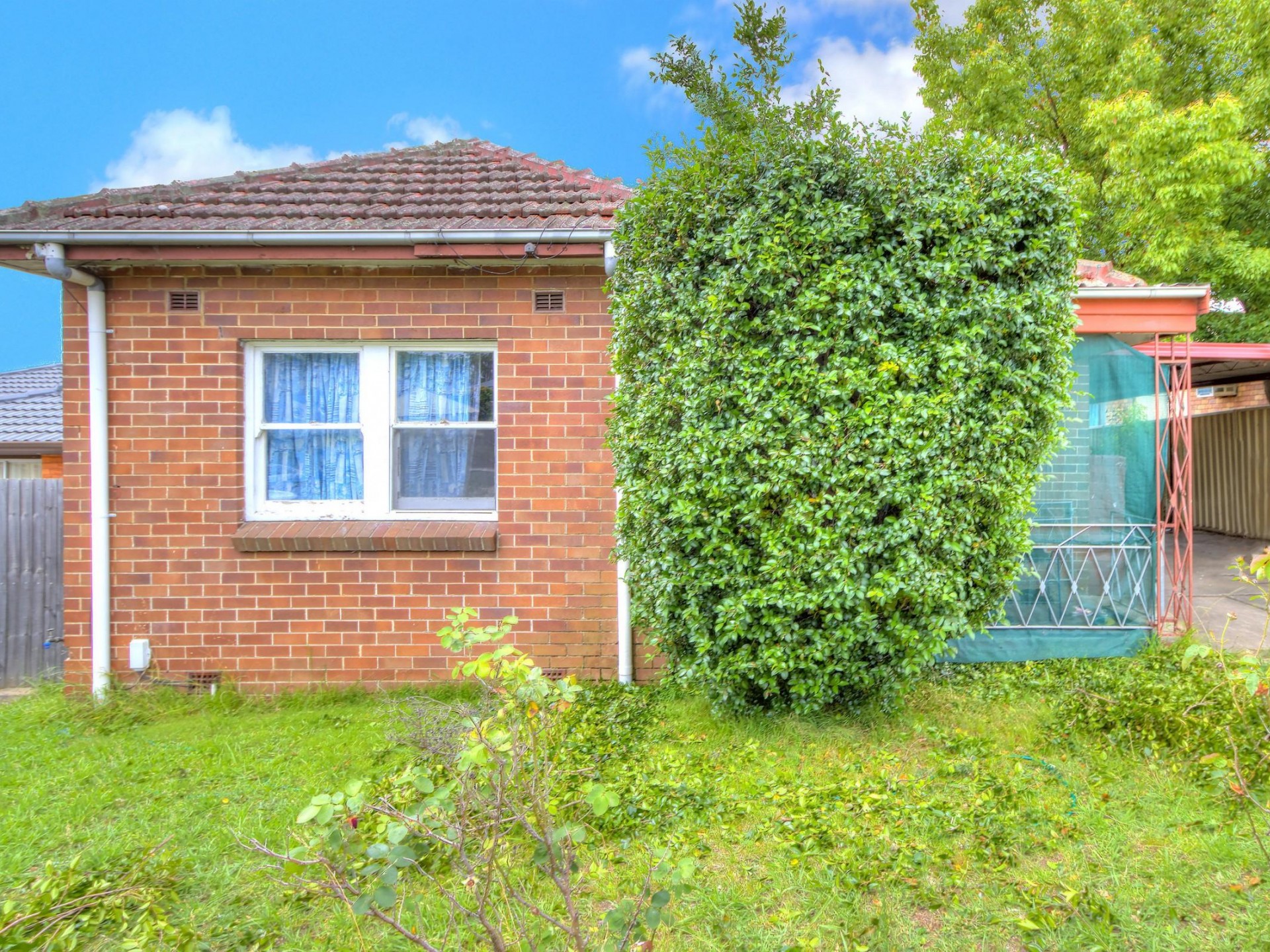 Cheap Rental- Large Backyard