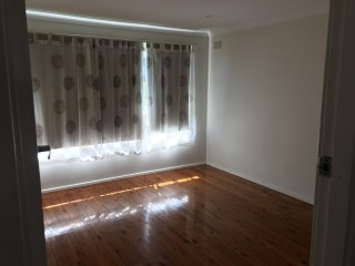View profile: Polished Timber Floorboards Throughout