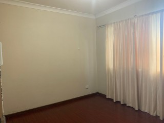 View profile: Freshly painted apartment!!! One Minute to Station!!