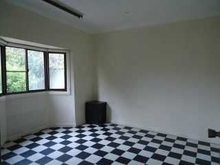 View profile: Price slashed!  Must be leased!